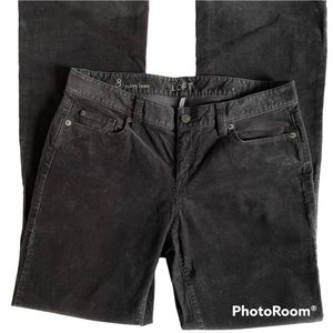 LOFT Curvy Boot Corduroys